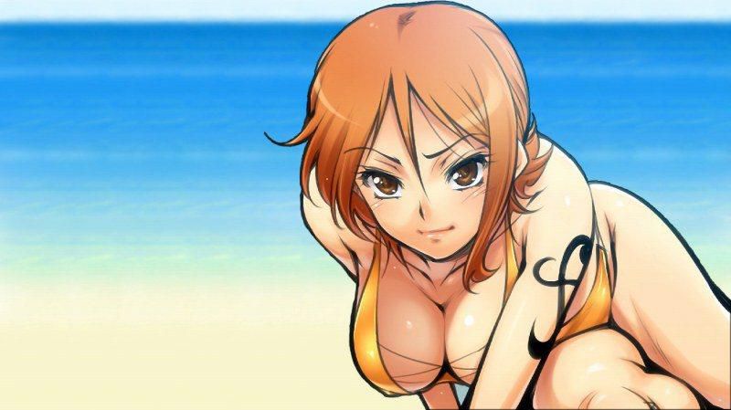 [One piece] cute secondary erotic image with Nami's echi 18