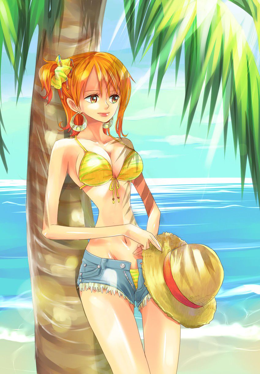 [One piece] cute secondary erotic image with Nami's echi 30