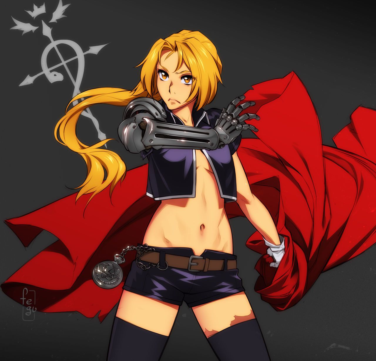 Fullmetal Alchemist Collection 166