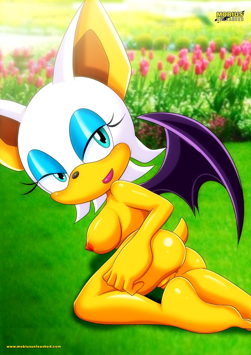 Mobius Unleashed: Rouge the Bat 146