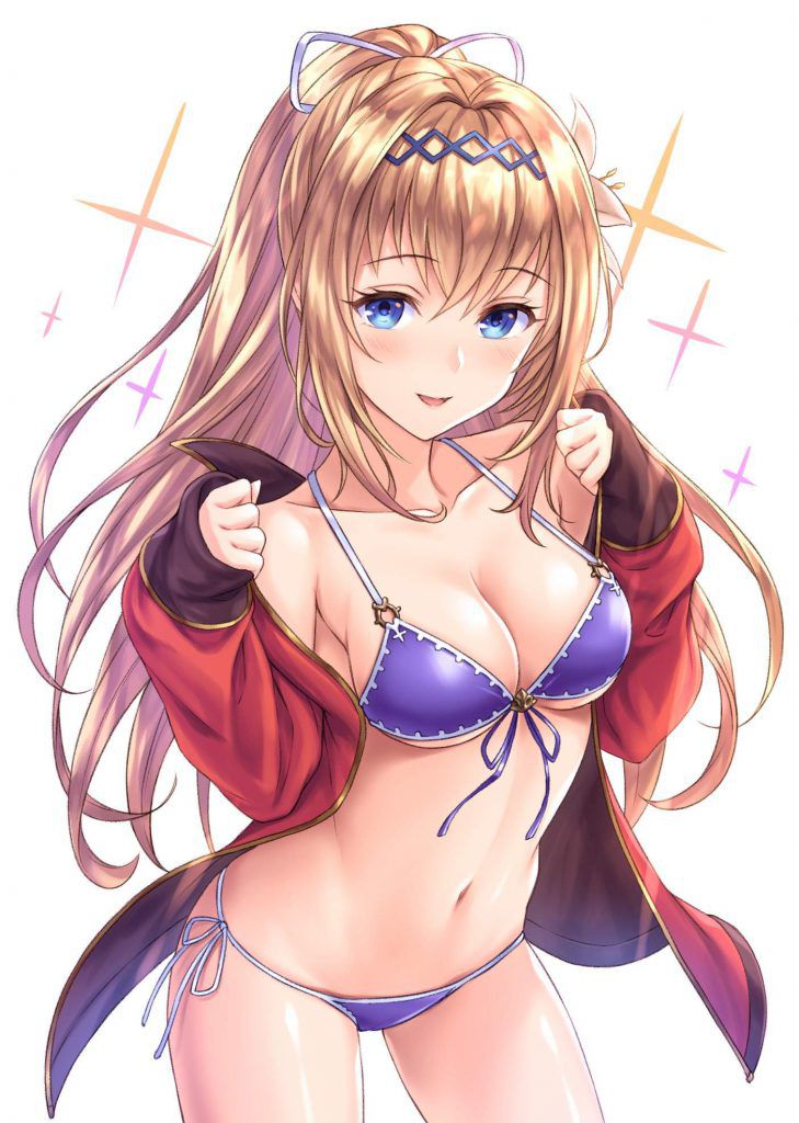 I tried to find high-quality erotic images of Granblue Fantasy! 6