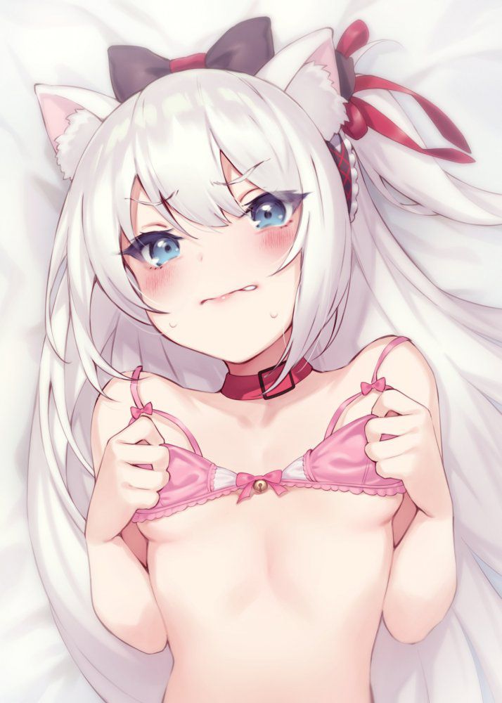 Up the erotic image of Azur Lane! 17