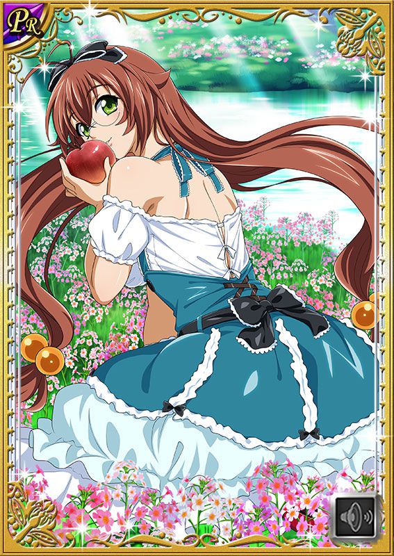 Ikkitousen Cards Coleccyion  Ryuubi Gentoku set 311