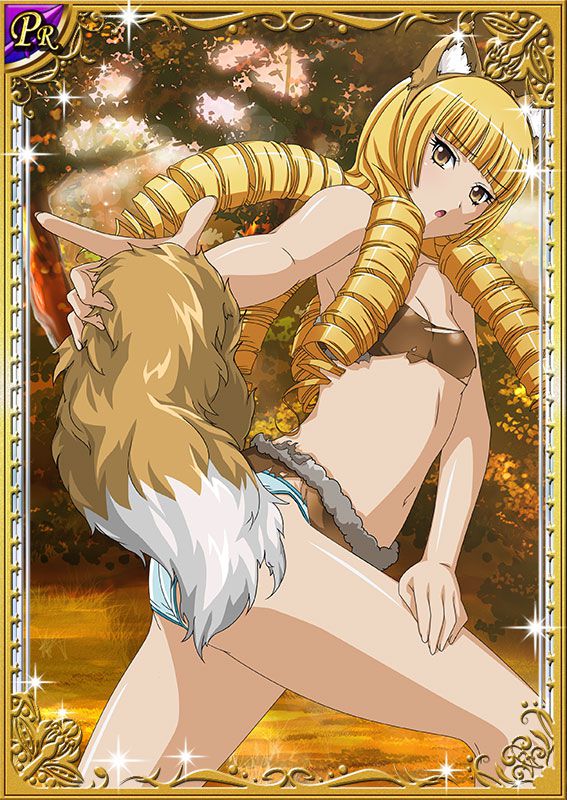 Ikkitousen Cards Coleccyion  Genji Kitagishi set 125