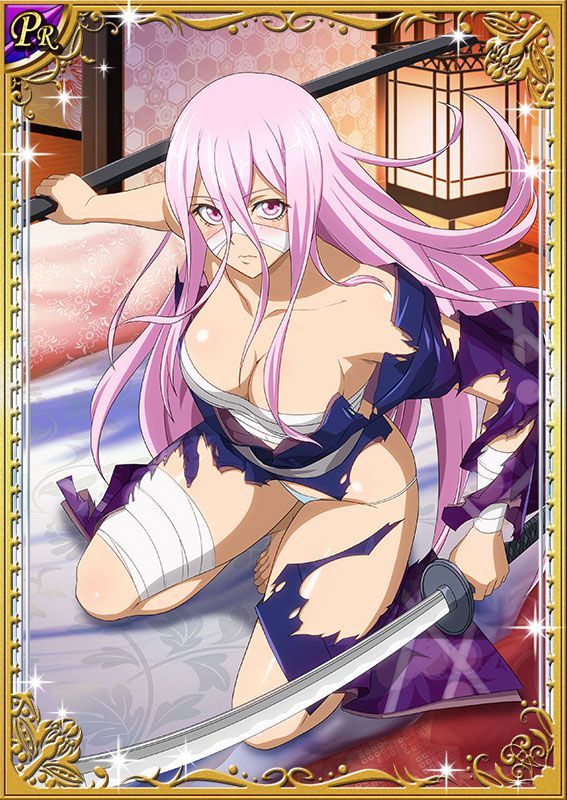 Ikkitousen Cards Coleccyion  Shin Musashi set 24