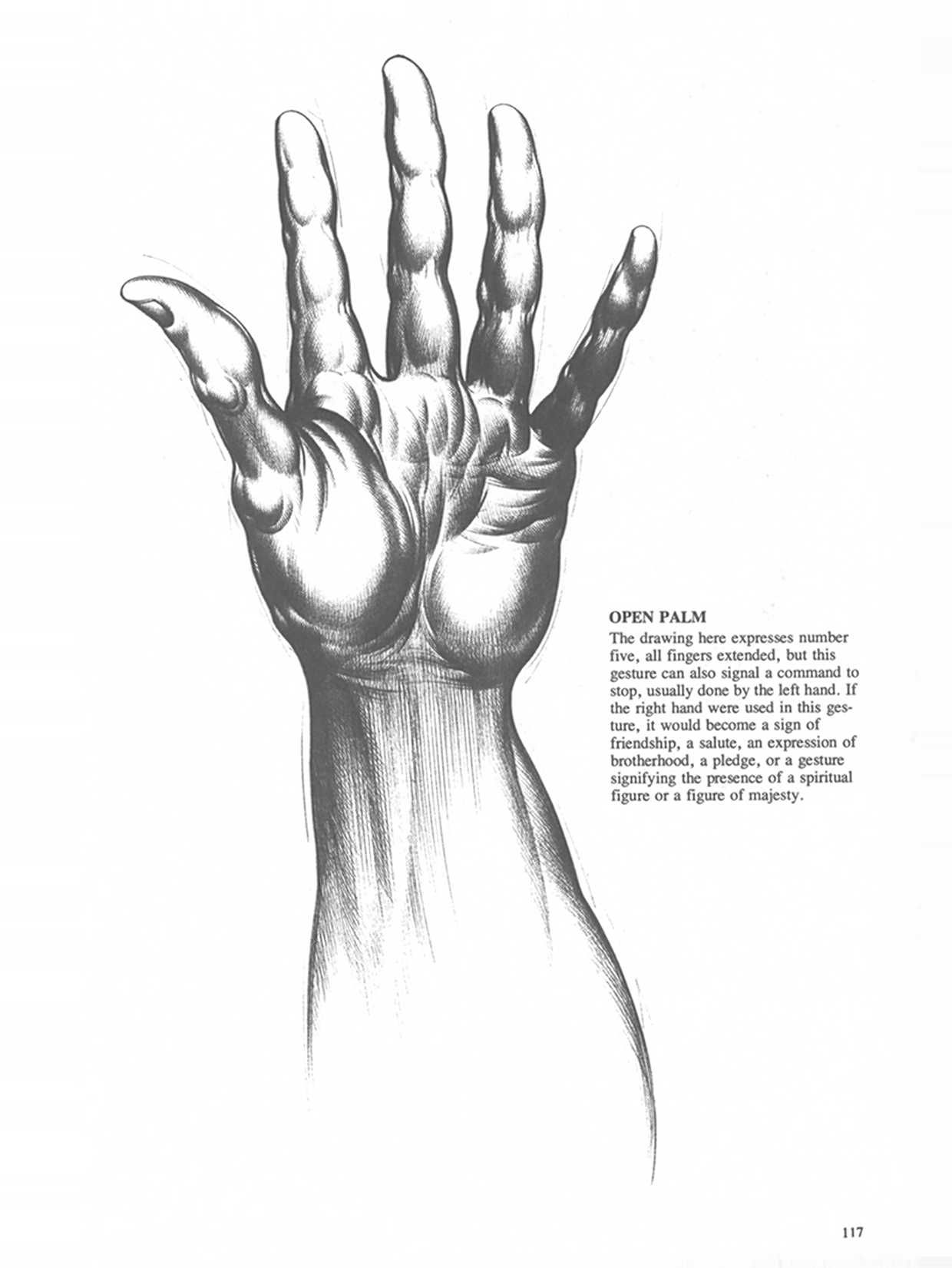 Drawing Dynamic Hands - Burne Hogarth[English] 动态素描·手部结构 - 伯恩・霍加斯[英文版] 114