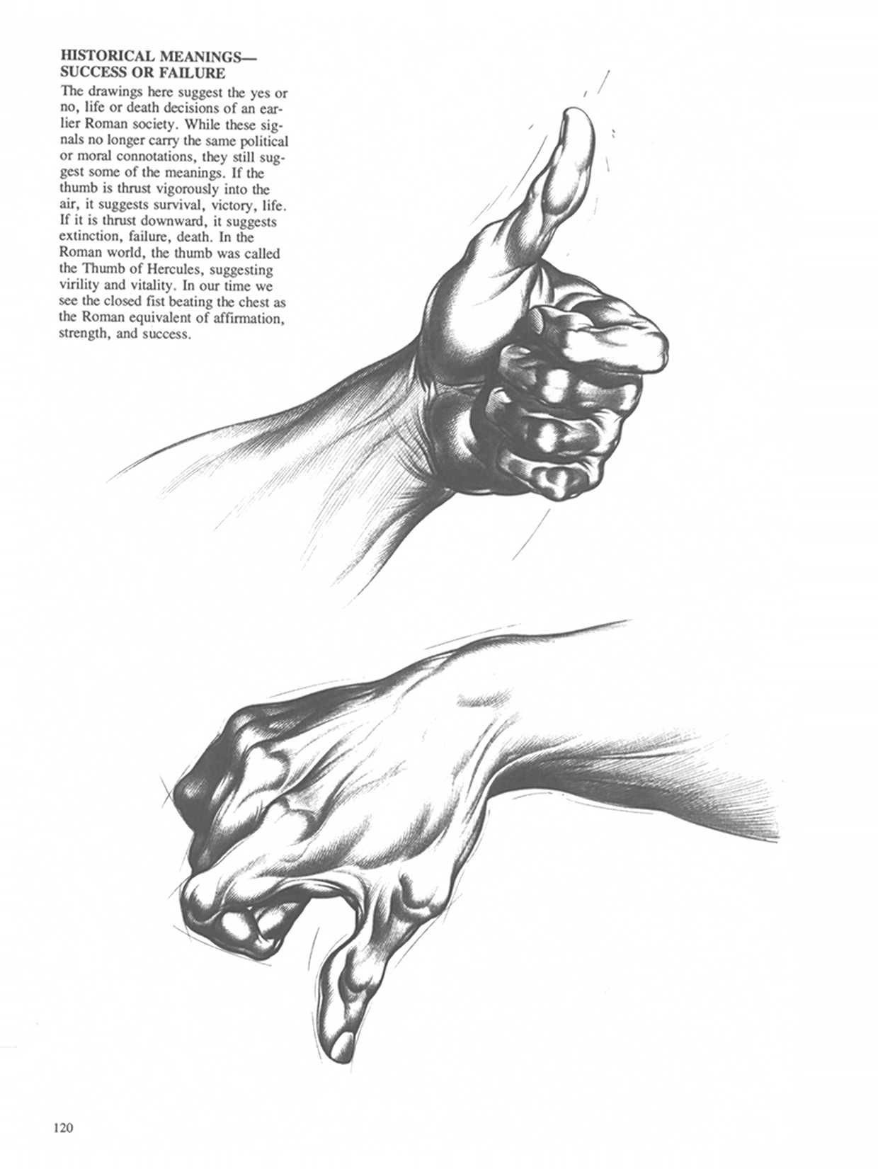 Drawing Dynamic Hands - Burne Hogarth[English] 动态素描·手部结构 - 伯恩・霍加斯[英文版] 117