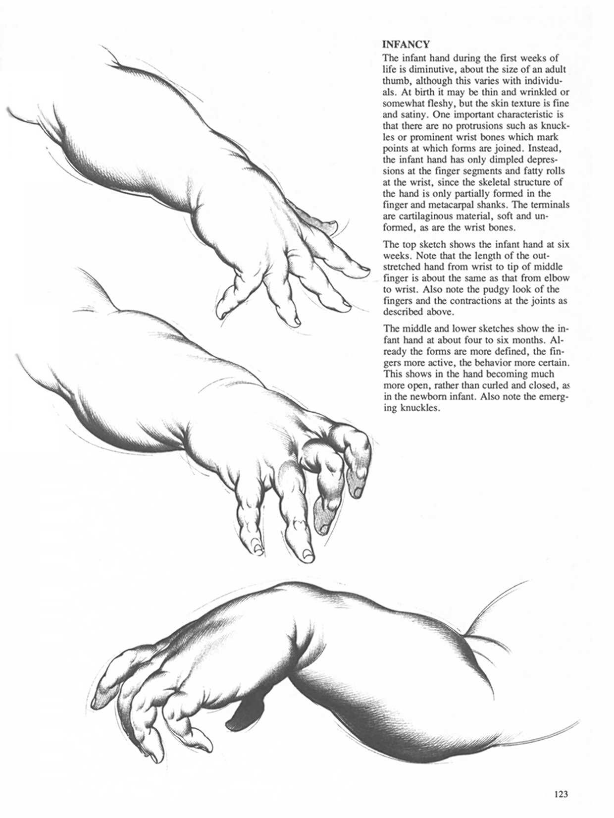 Drawing Dynamic Hands - Burne Hogarth[English] 动态素描·手部结构 - 伯恩・霍加斯[英文版] 120