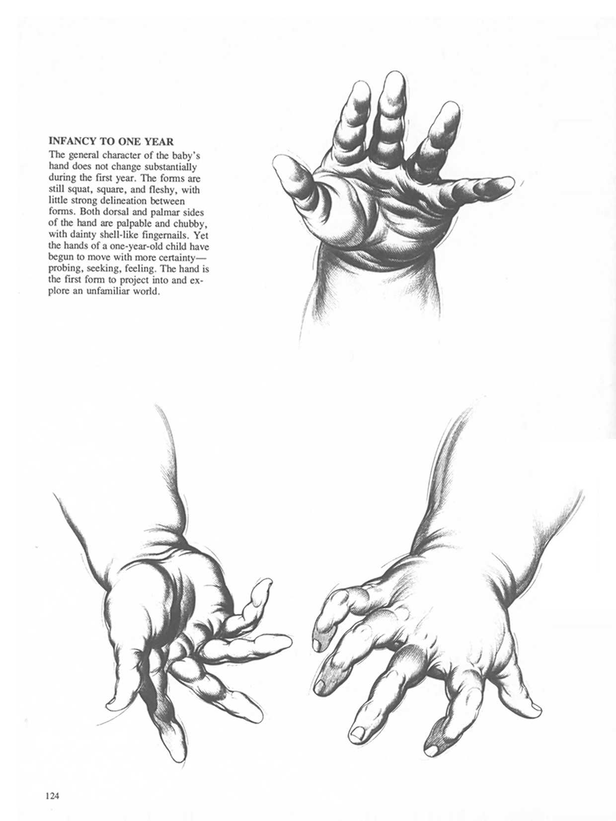 Drawing Dynamic Hands - Burne Hogarth[English] 动态素描·手部结构 - 伯恩・霍加斯[英文版] 121