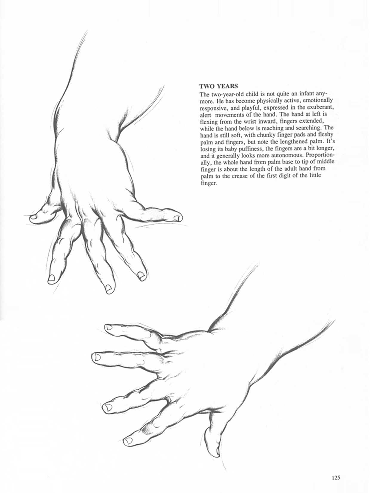 Drawing Dynamic Hands - Burne Hogarth[English] 动态素描·手部结构 - 伯恩・霍加斯[英文版] 122