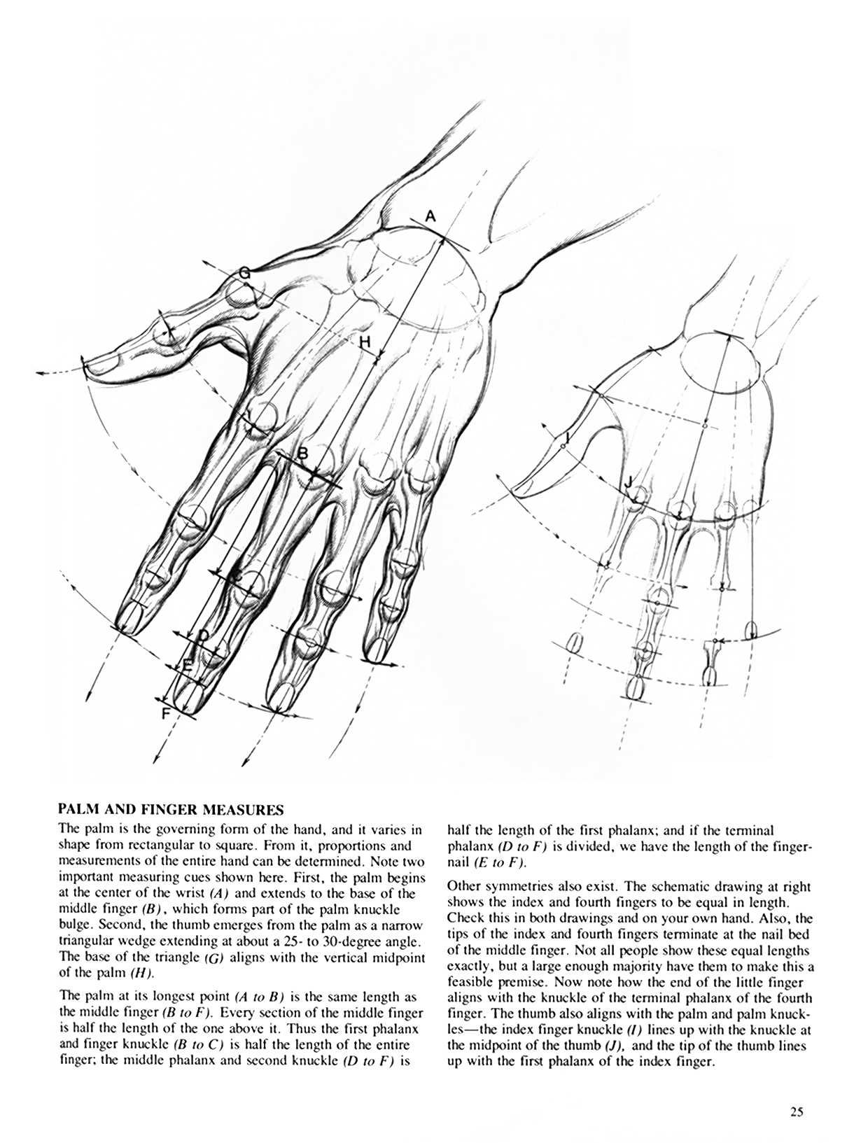 Drawing Dynamic Hands - Burne Hogarth[English] 动态素描·手部结构 - 伯恩・霍加斯[英文版] 22