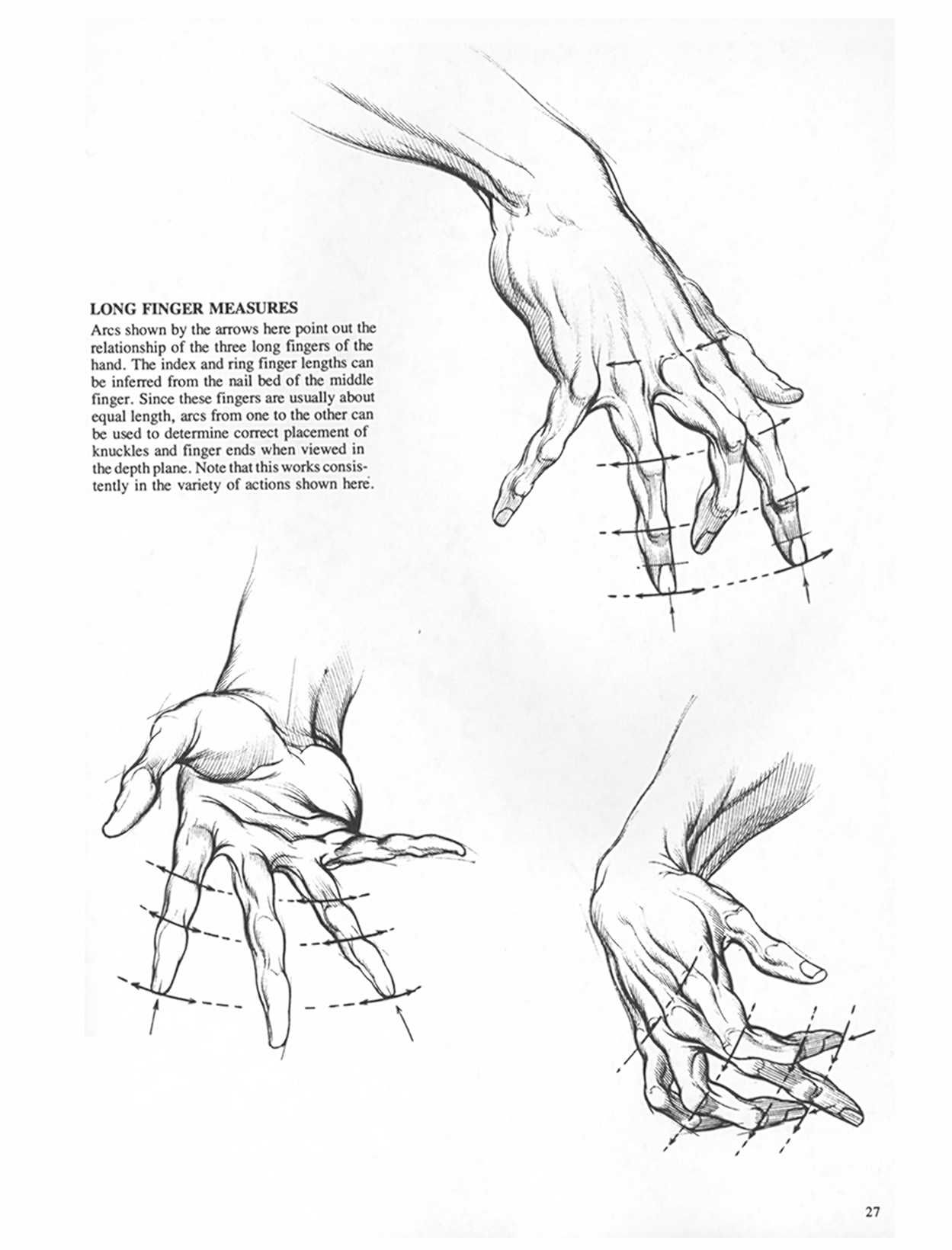 Drawing Dynamic Hands - Burne Hogarth[English] 动态素描·手部结构 - 伯恩・霍加斯[英文版] 24