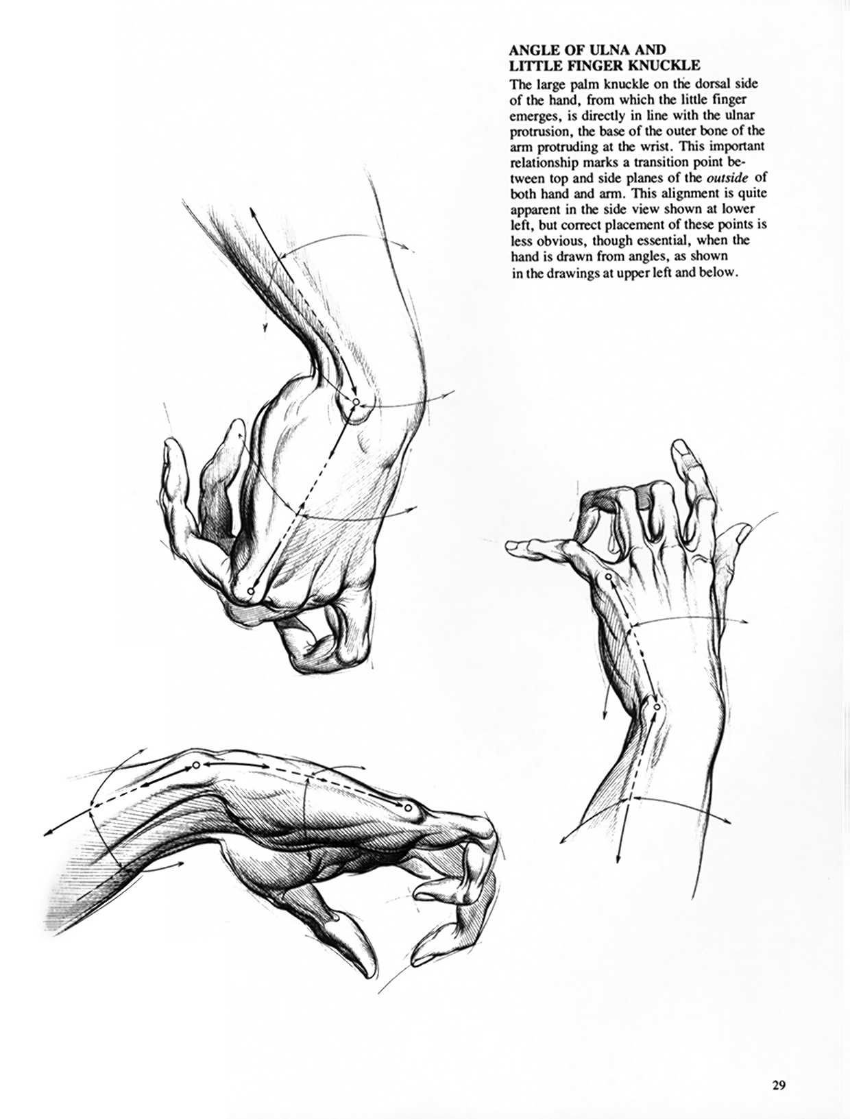 Drawing Dynamic Hands - Burne Hogarth[English] 动态素描·手部结构 - 伯恩・霍加斯[英文版] 26