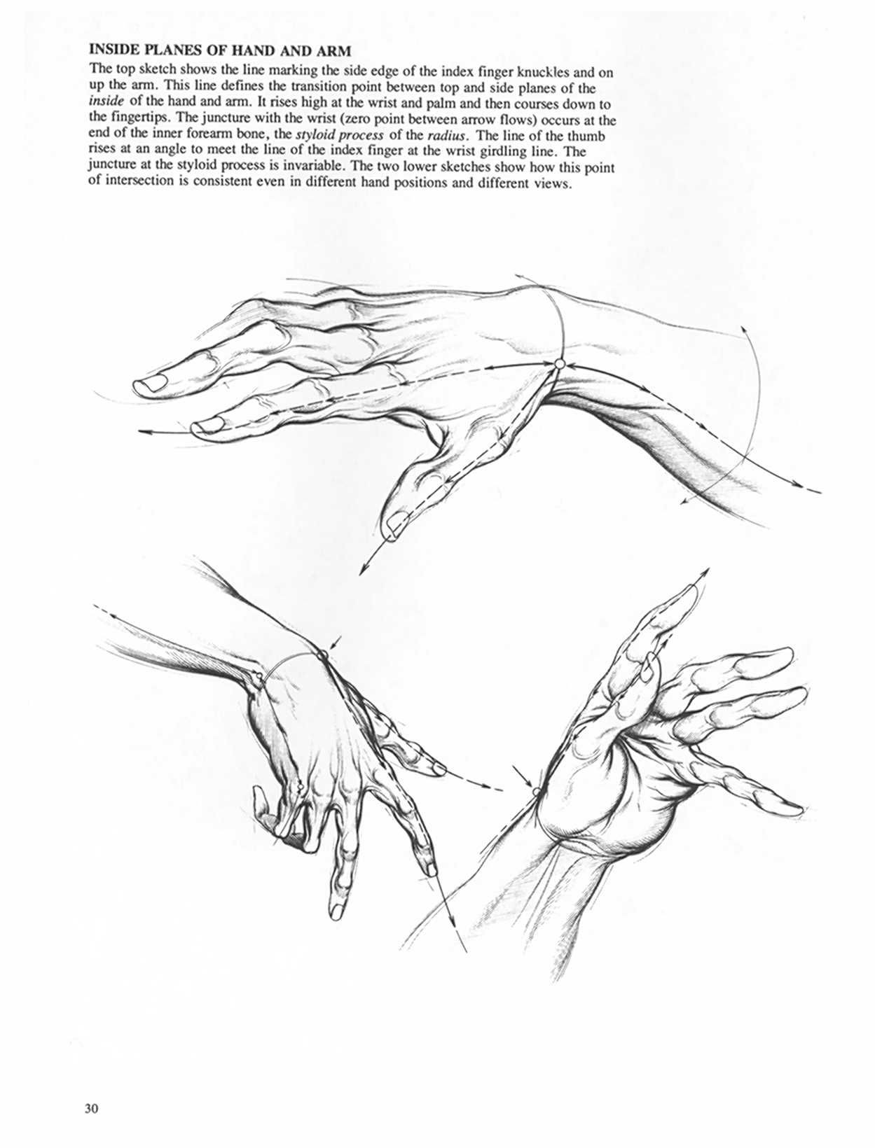 Drawing Dynamic Hands - Burne Hogarth[English] 动态素描·手部结构 - 伯恩・霍加斯[英文版] 27