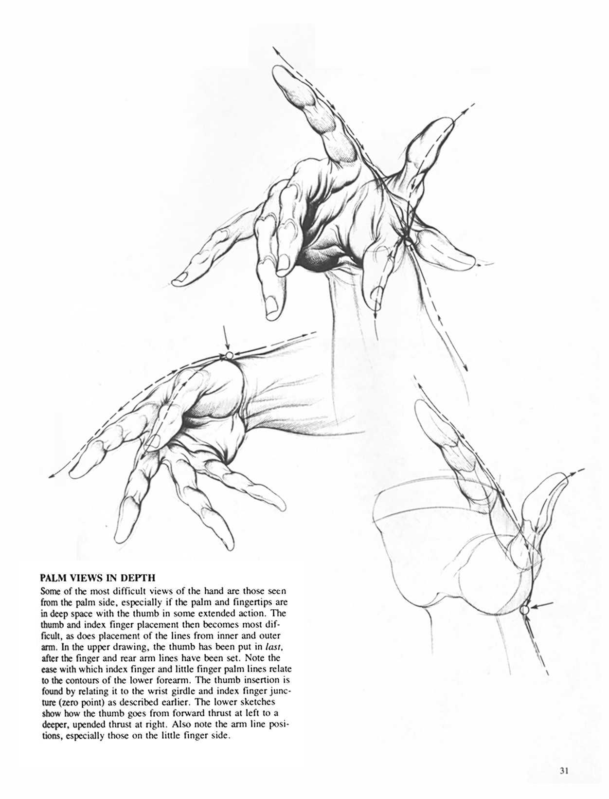 Drawing Dynamic Hands - Burne Hogarth[English] 动态素描·手部结构 - 伯恩・霍加斯[英文版] 28