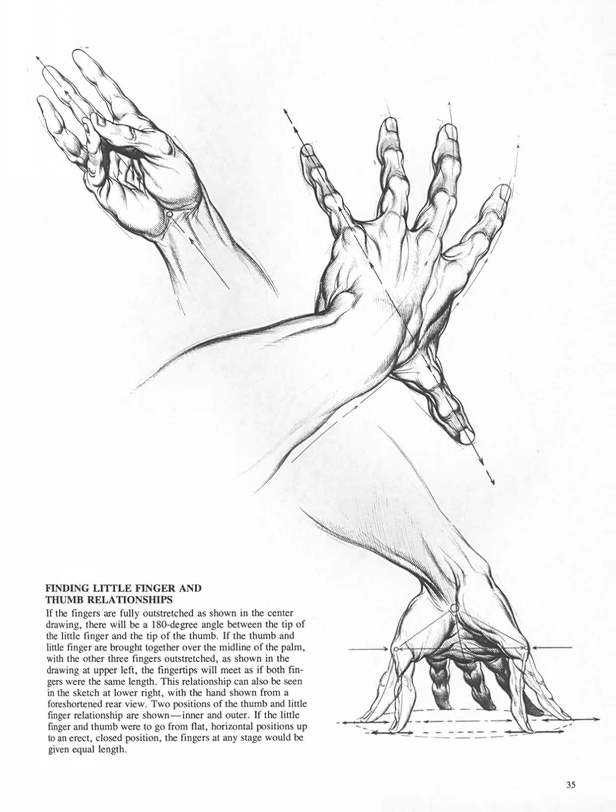 Drawing Dynamic Hands - Burne Hogarth[English] 动态素描·手部结构 - 伯恩・霍加斯[英文版] 32