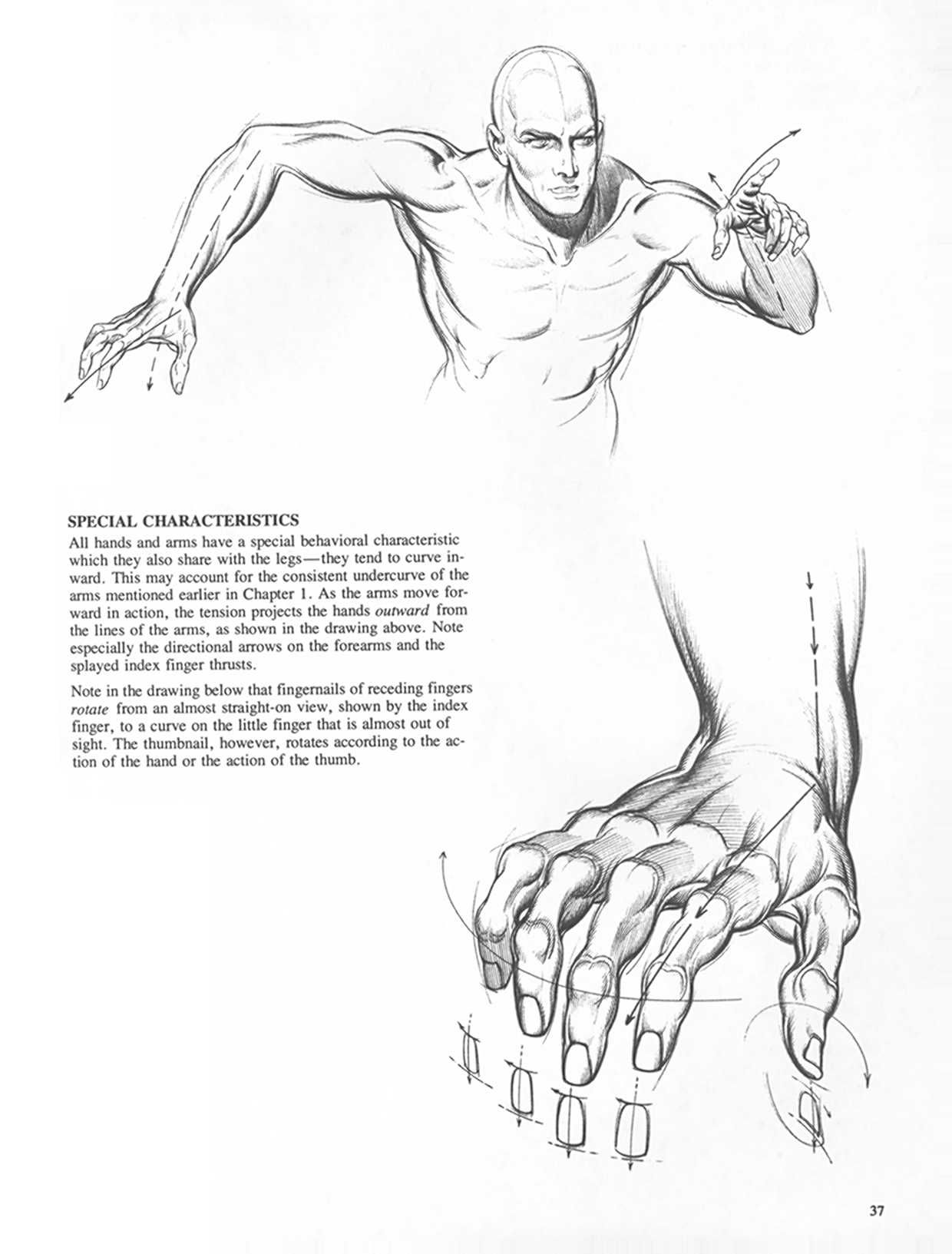 Drawing Dynamic Hands - Burne Hogarth[English] 动态素描·手部结构 - 伯恩・霍加斯[英文版] 34