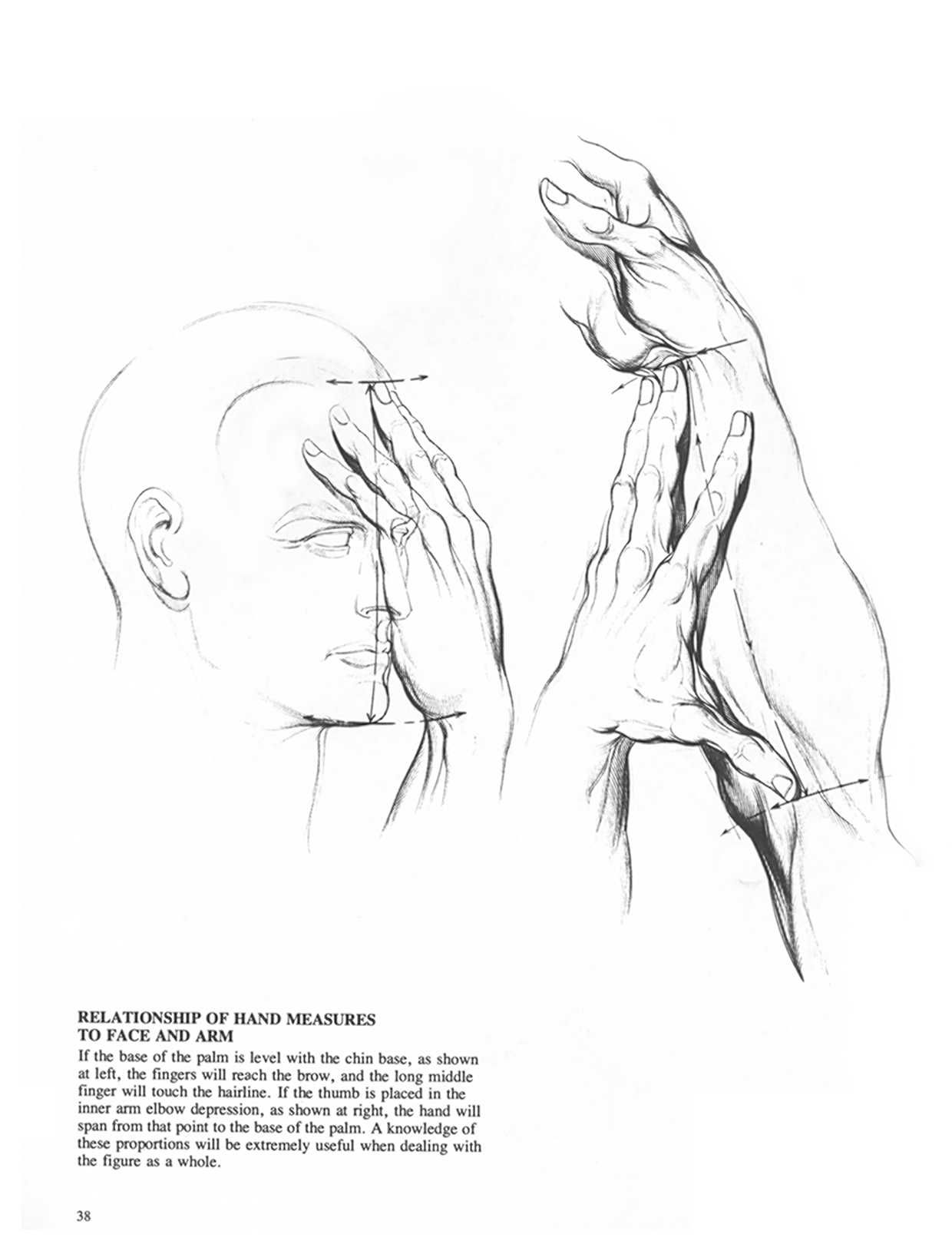 Drawing Dynamic Hands - Burne Hogarth[English] 动态素描·手部结构 - 伯恩・霍加斯[英文版] 35