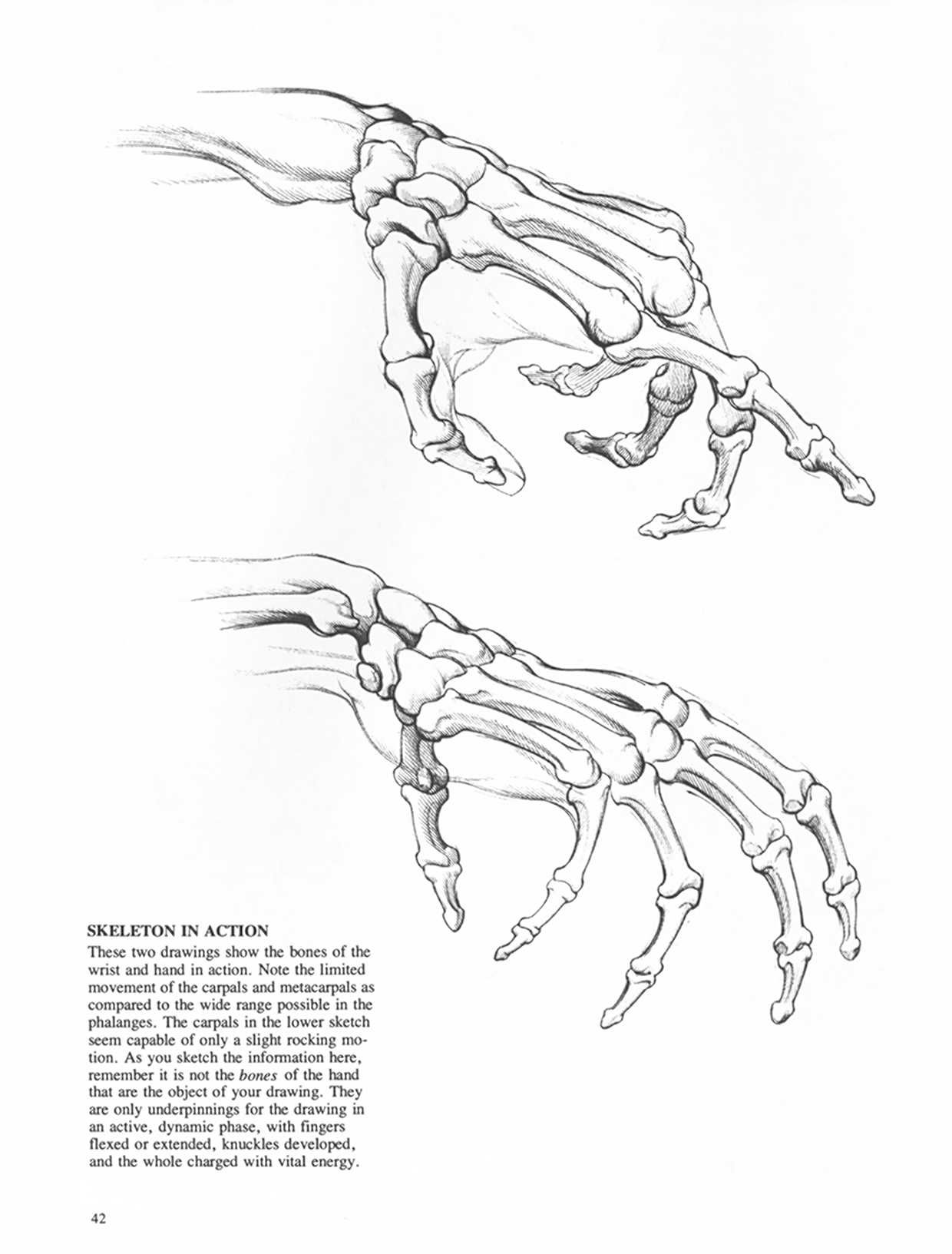 Drawing Dynamic Hands - Burne Hogarth[English] 动态素描·手部结构 - 伯恩・霍加斯[英文版] 39