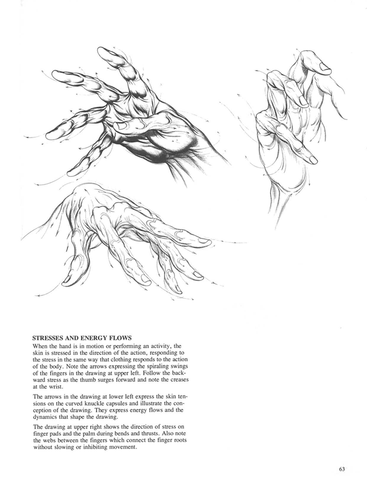 Drawing Dynamic Hands - Burne Hogarth[English] 动态素描·手部结构 - 伯恩・霍加斯[英文版] 60