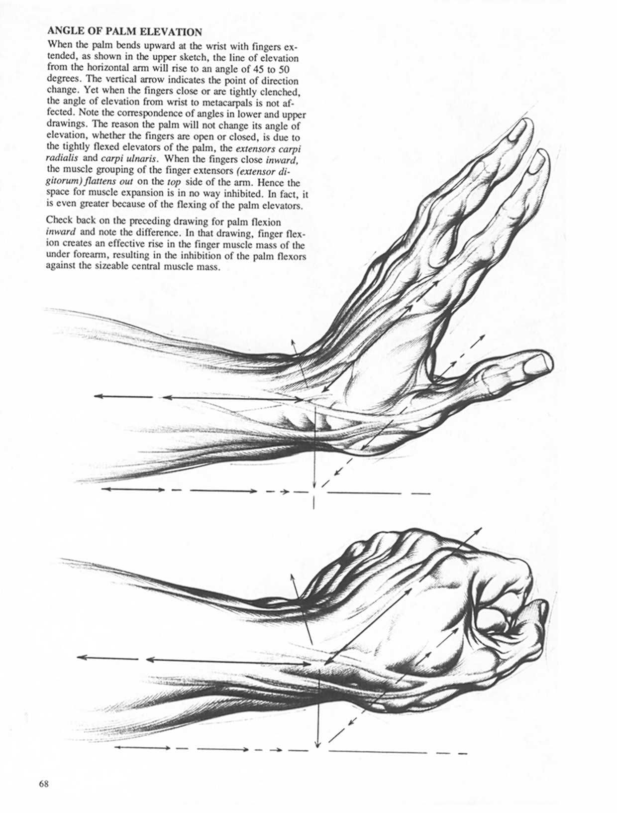 Drawing Dynamic Hands - Burne Hogarth[English] 动态素描·手部结构 - 伯恩・霍加斯[英文版] 65