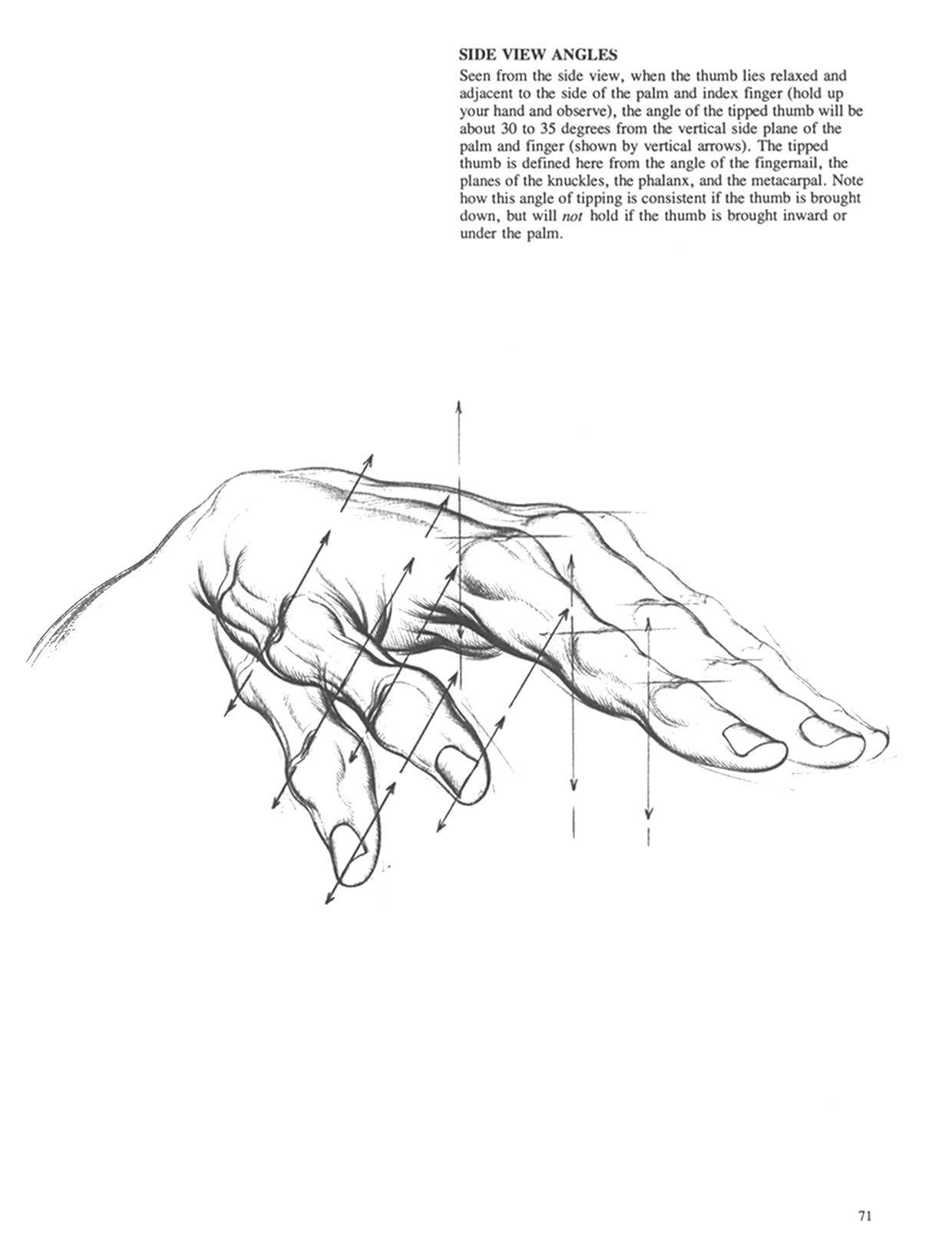 Drawing Dynamic Hands - Burne Hogarth[English] 动态素描·手部结构 - 伯恩・霍加斯[英文版] 68