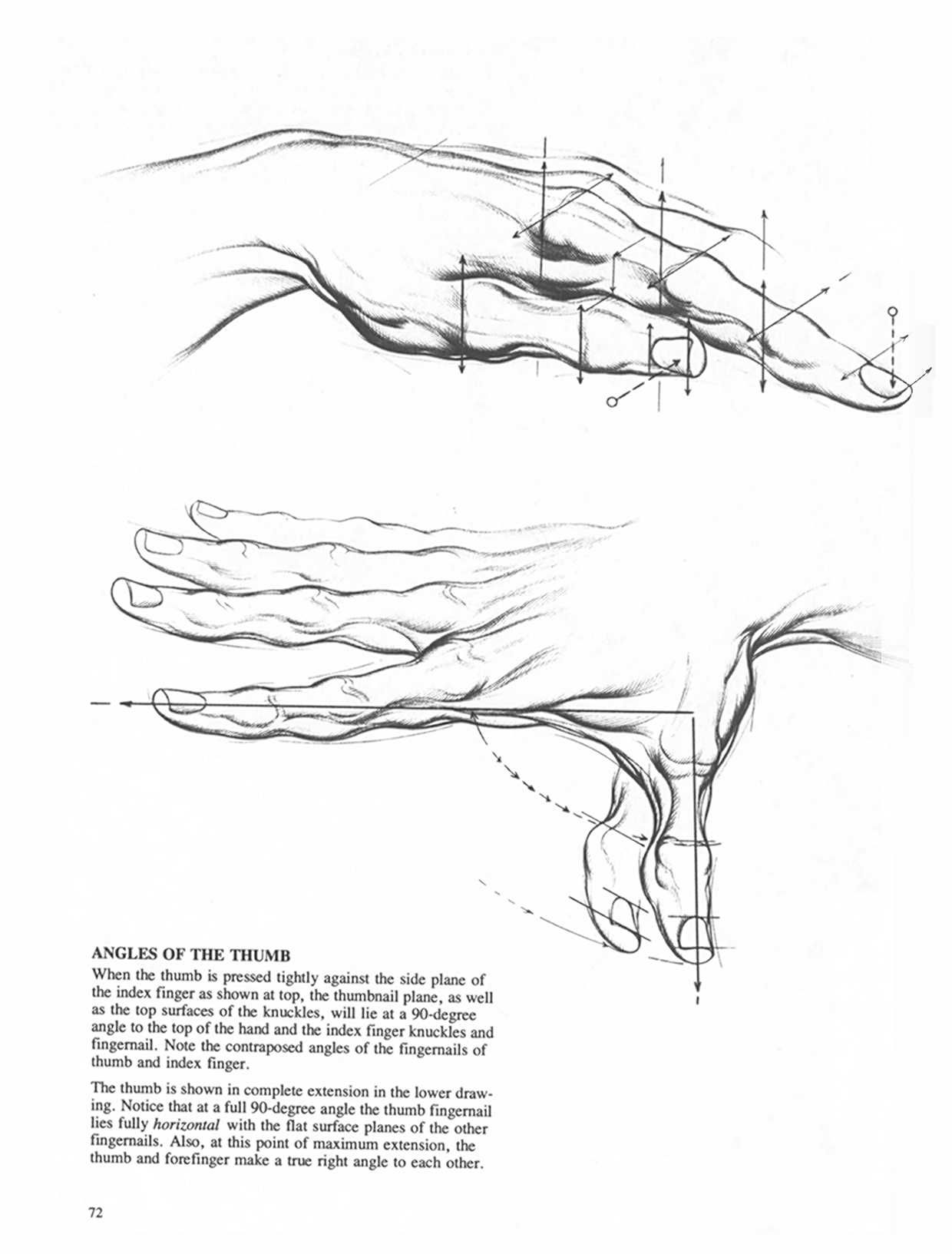 Drawing Dynamic Hands - Burne Hogarth[English] 动态素描·手部结构 - 伯恩・霍加斯[英文版] 69