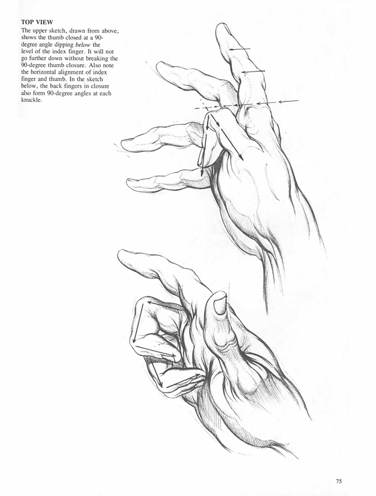 Drawing Dynamic Hands - Burne Hogarth[English] 动态素描·手部结构 - 伯恩・霍加斯[英文版] 72