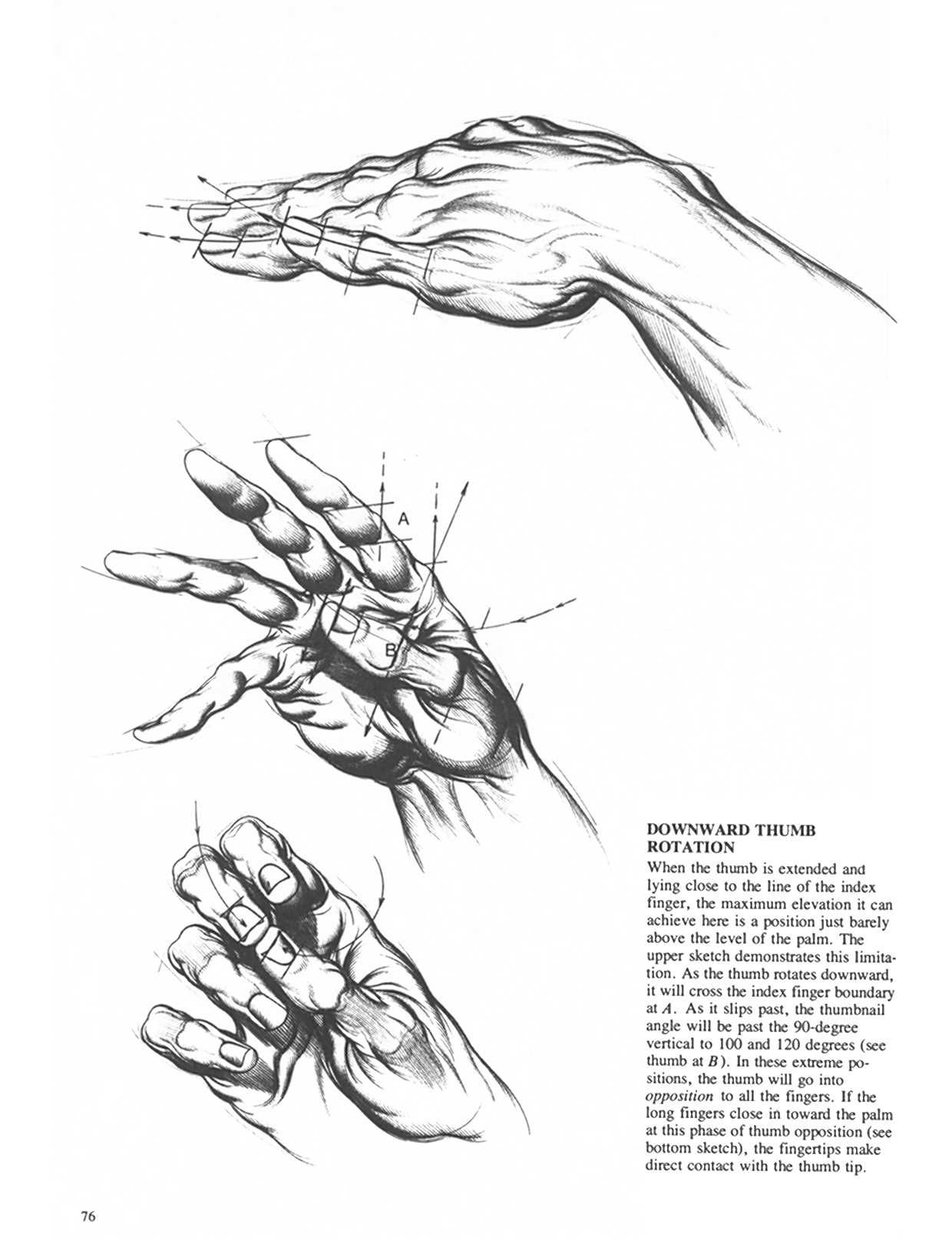 Drawing Dynamic Hands - Burne Hogarth[English] 动态素描·手部结构 - 伯恩・霍加斯[英文版] 73