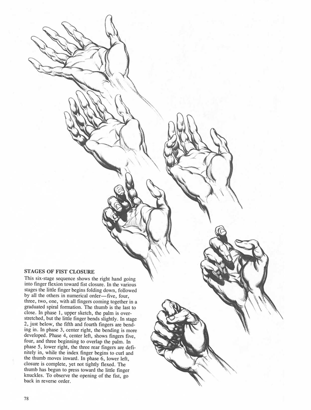 Drawing Dynamic Hands - Burne Hogarth[English] 动态素描·手部结构 - 伯恩・霍加斯[英文版] 75