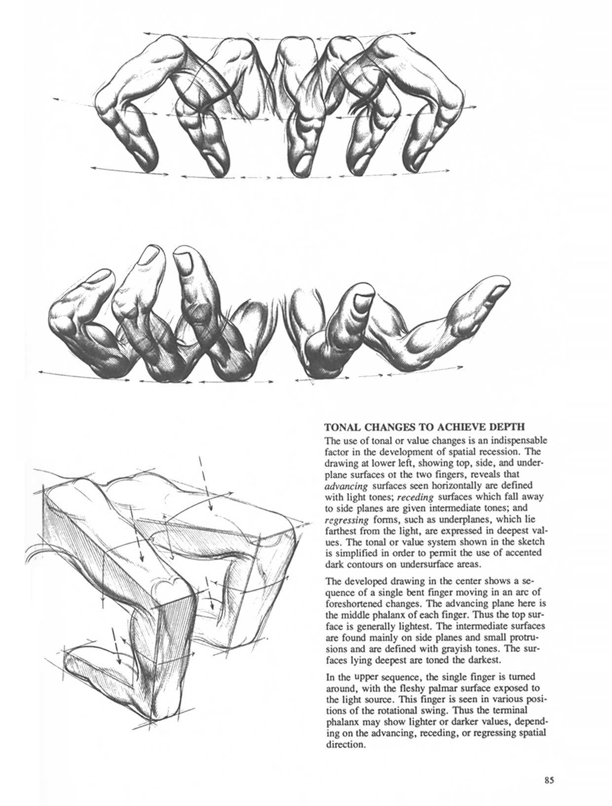 Drawing Dynamic Hands - Burne Hogarth[English] 动态素描·手部结构 - 伯恩・霍加斯[英文版] 82