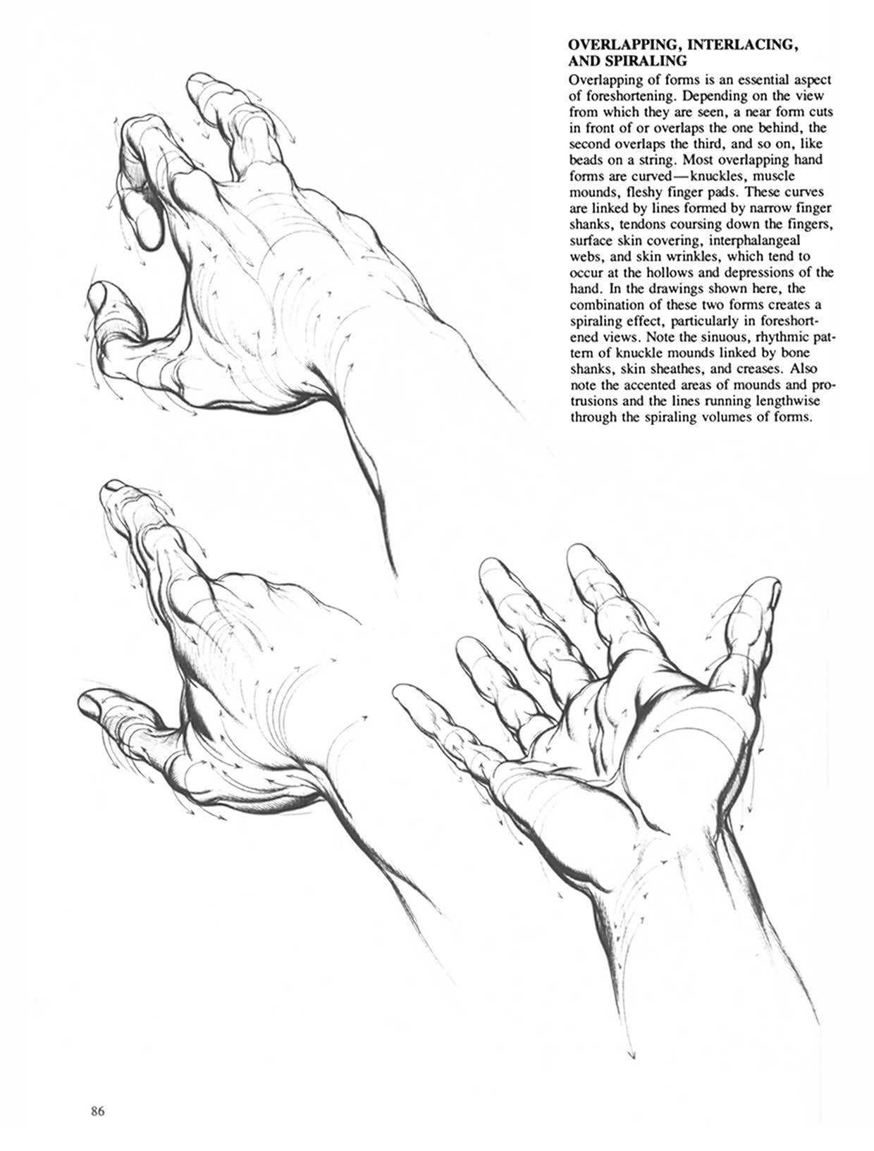 Drawing Dynamic Hands - Burne Hogarth[English] 动态素描·手部结构 - 伯恩・霍加斯[英文版] 83