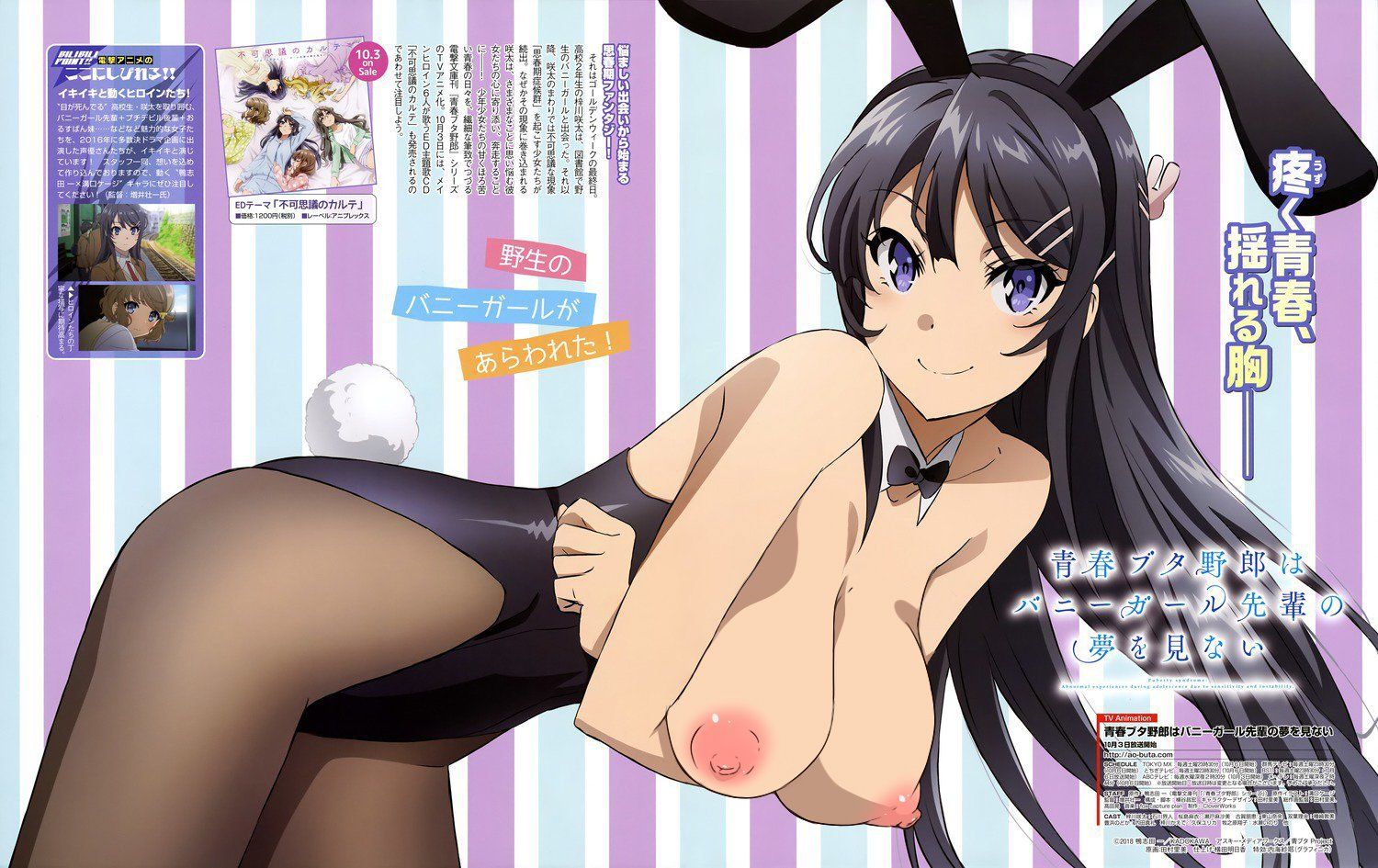 [Youth pig bastard] bunny girl senior, erotic image of Mai Sakurajima! Part 2 4