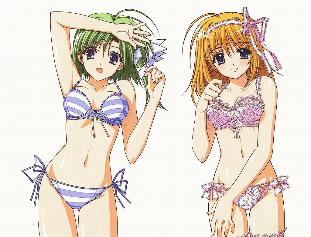 Two-dimensional erotic image for those who want to see two-dimensional erotic images of swimsuits of specially cute girls because it is New Year's Eve 25