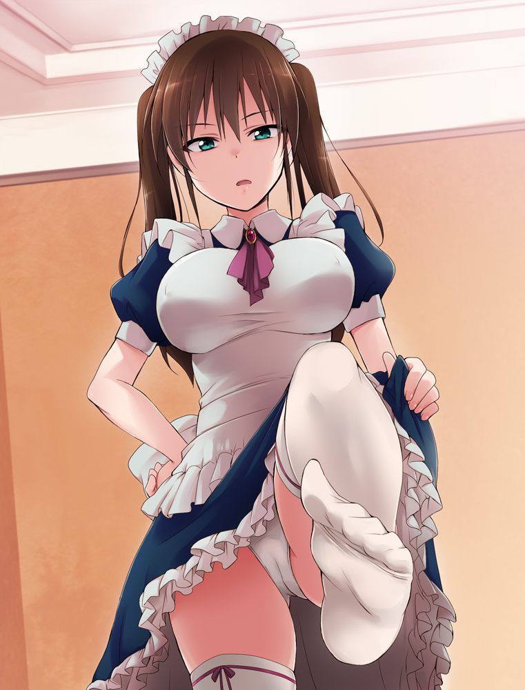 I want an erotic image of a maid! 9