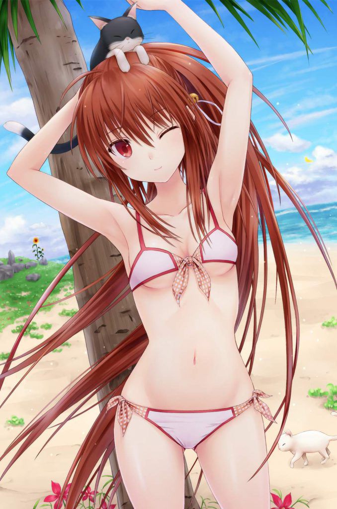 Little busters! Don't you want to see erotic images? 9