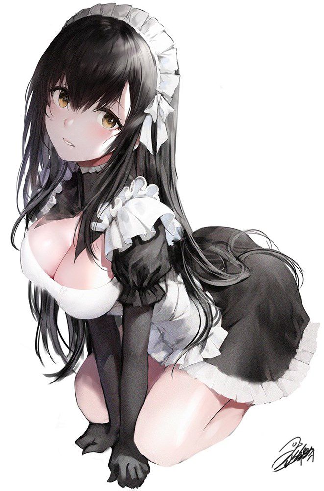 You want to see naughty images of maids, right? 13