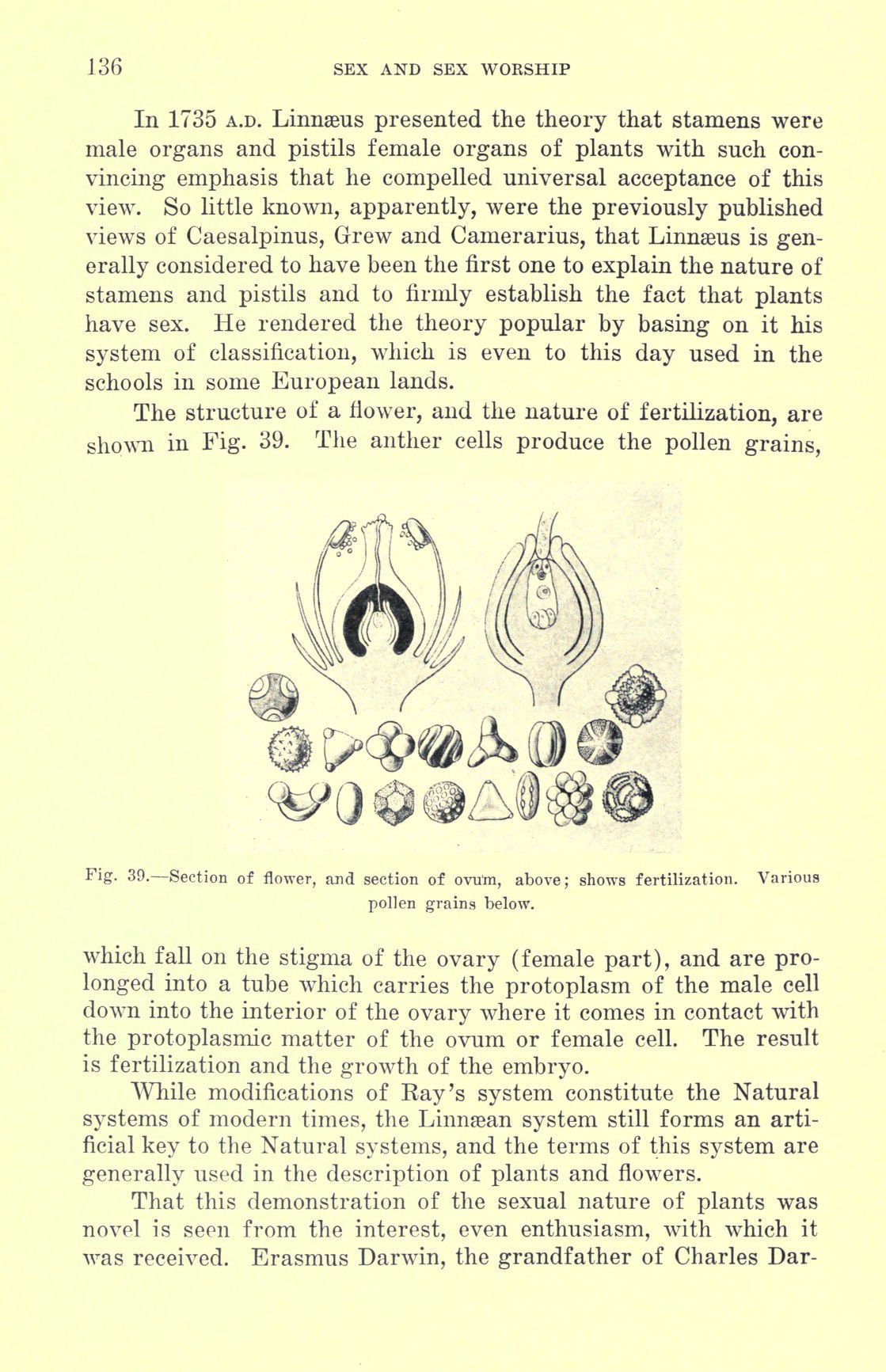 [Otto Augustus Wall] Sex and sex worship : (phallic worship) a scientific treatise on sex, its nature and function, and its influence on art, science, architecture, and religion--with special reference to sex worship and symbolism 156