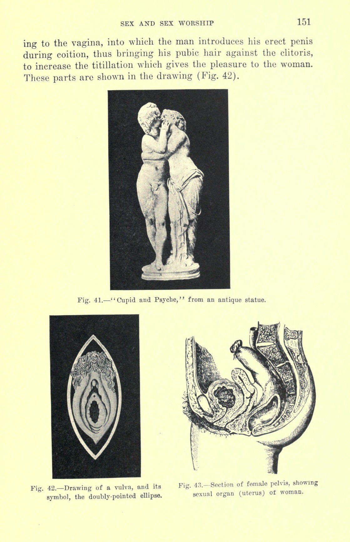 [Otto Augustus Wall] Sex and sex worship : (phallic worship) a scientific treatise on sex, its nature and function, and its influence on art, science, architecture, and religion--with special reference to sex worship and symbolism 171