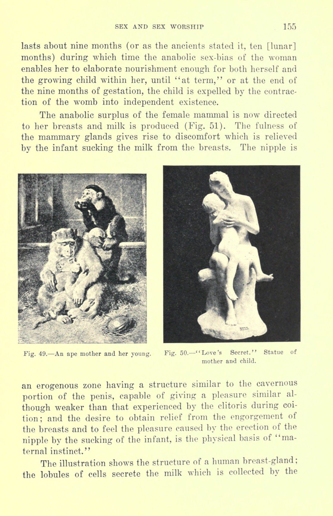 [Otto Augustus Wall] Sex and sex worship : (phallic worship) a scientific treatise on sex, its nature and function, and its influence on art, science, architecture, and religion--with special reference to sex worship and symbolism 175