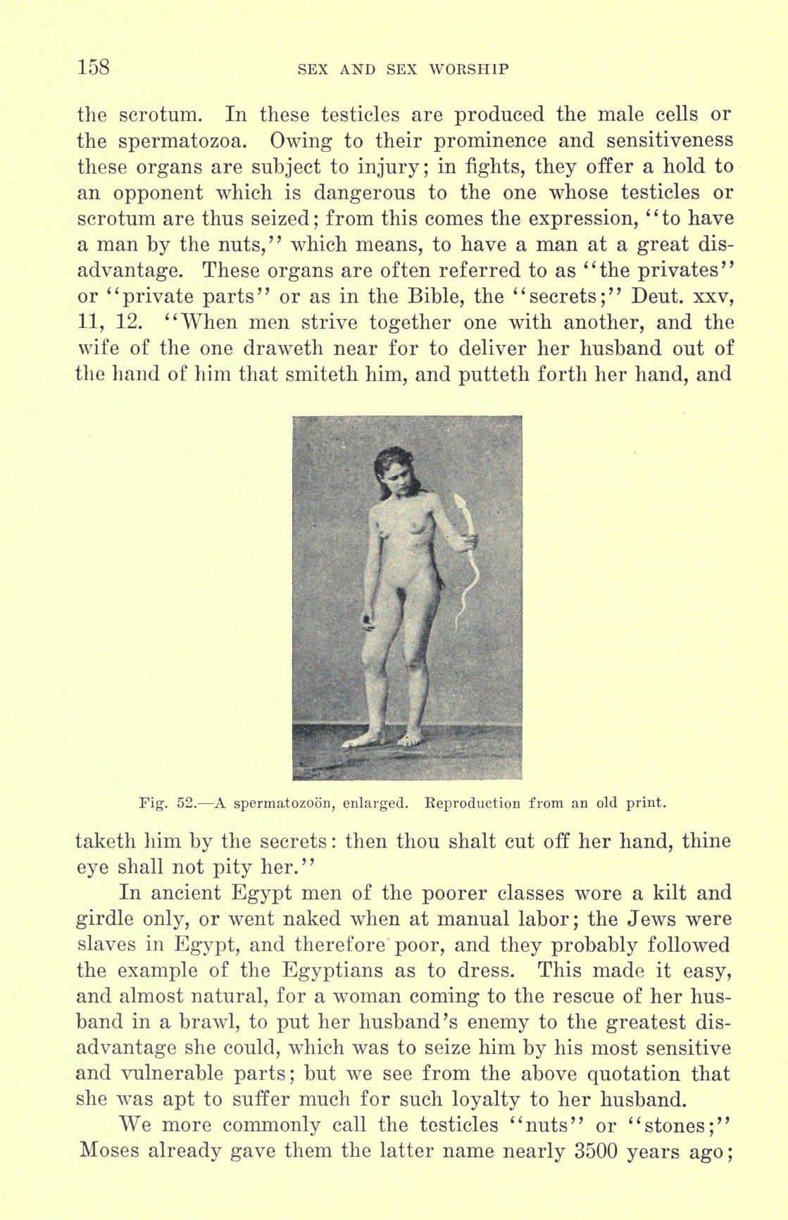 [Otto Augustus Wall] Sex and sex worship : (phallic worship) a scientific treatise on sex, its nature and function, and its influence on art, science, architecture, and religion--with special reference to sex worship and symbolism 178