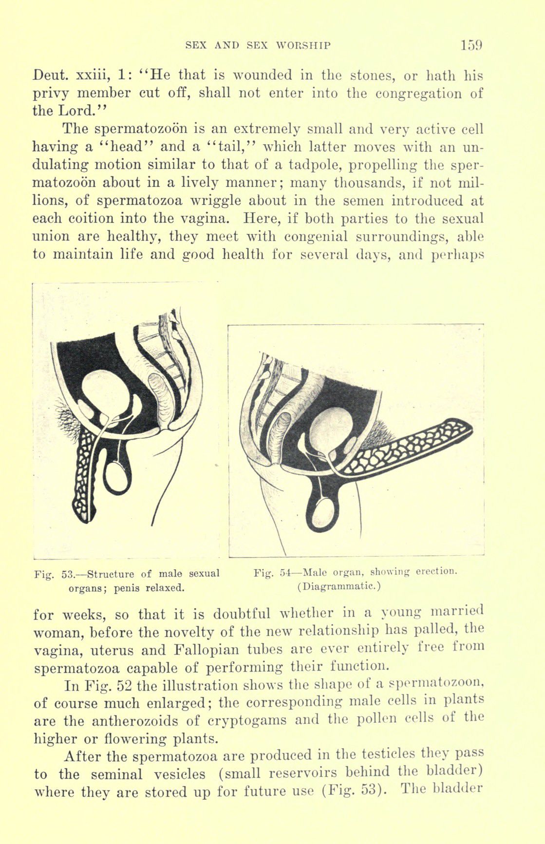 [Otto Augustus Wall] Sex and sex worship : (phallic worship) a scientific treatise on sex, its nature and function, and its influence on art, science, architecture, and religion--with special reference to sex worship and symbolism 179