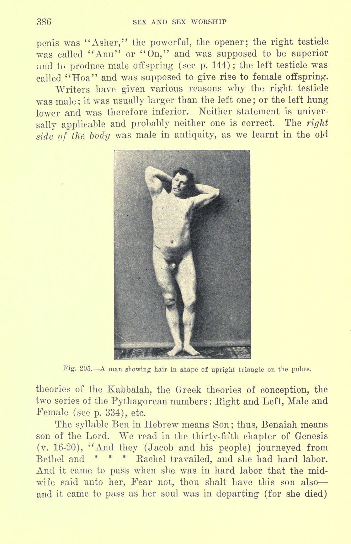 [Otto Augustus Wall] Sex and sex worship : (phallic worship) a scientific treatise on sex, its nature and function, and its influence on art, science, architecture, and religion--with special reference to sex worship and symbolism 406