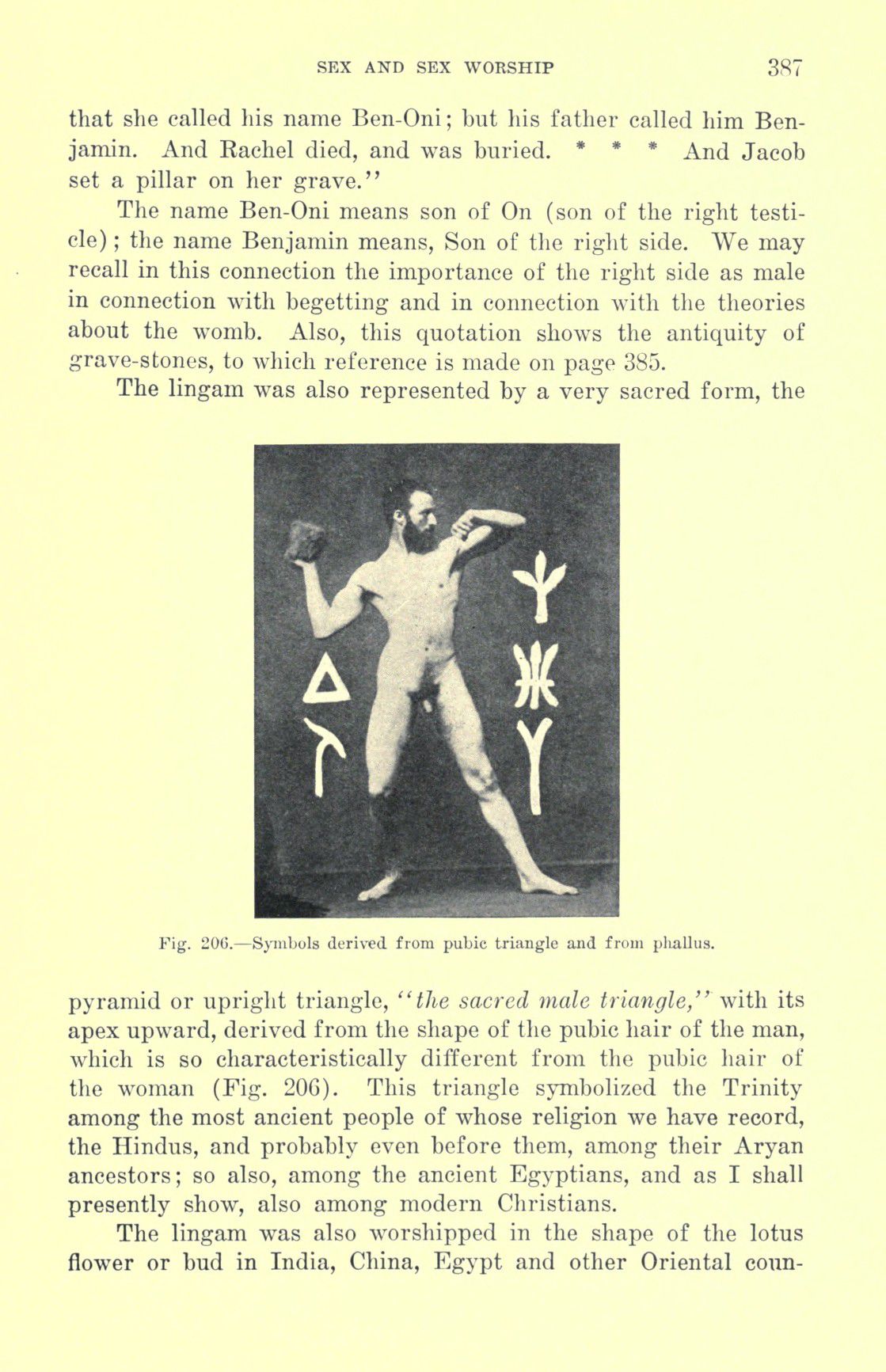 [Otto Augustus Wall] Sex and sex worship : (phallic worship) a scientific treatise on sex, its nature and function, and its influence on art, science, architecture, and religion--with special reference to sex worship and symbolism 407