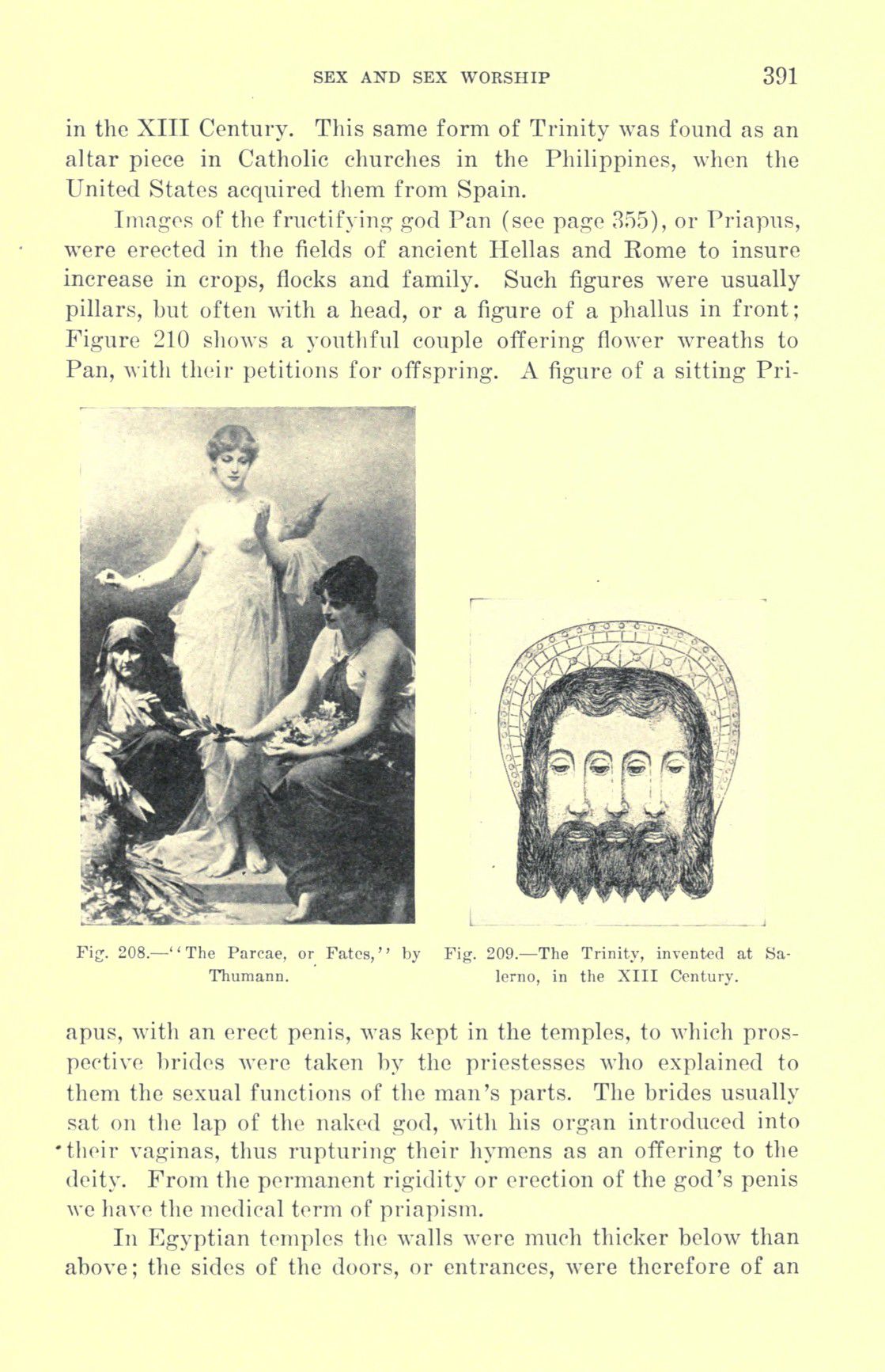 [Otto Augustus Wall] Sex and sex worship : (phallic worship) a scientific treatise on sex, its nature and function, and its influence on art, science, architecture, and religion--with special reference to sex worship and symbolism 411