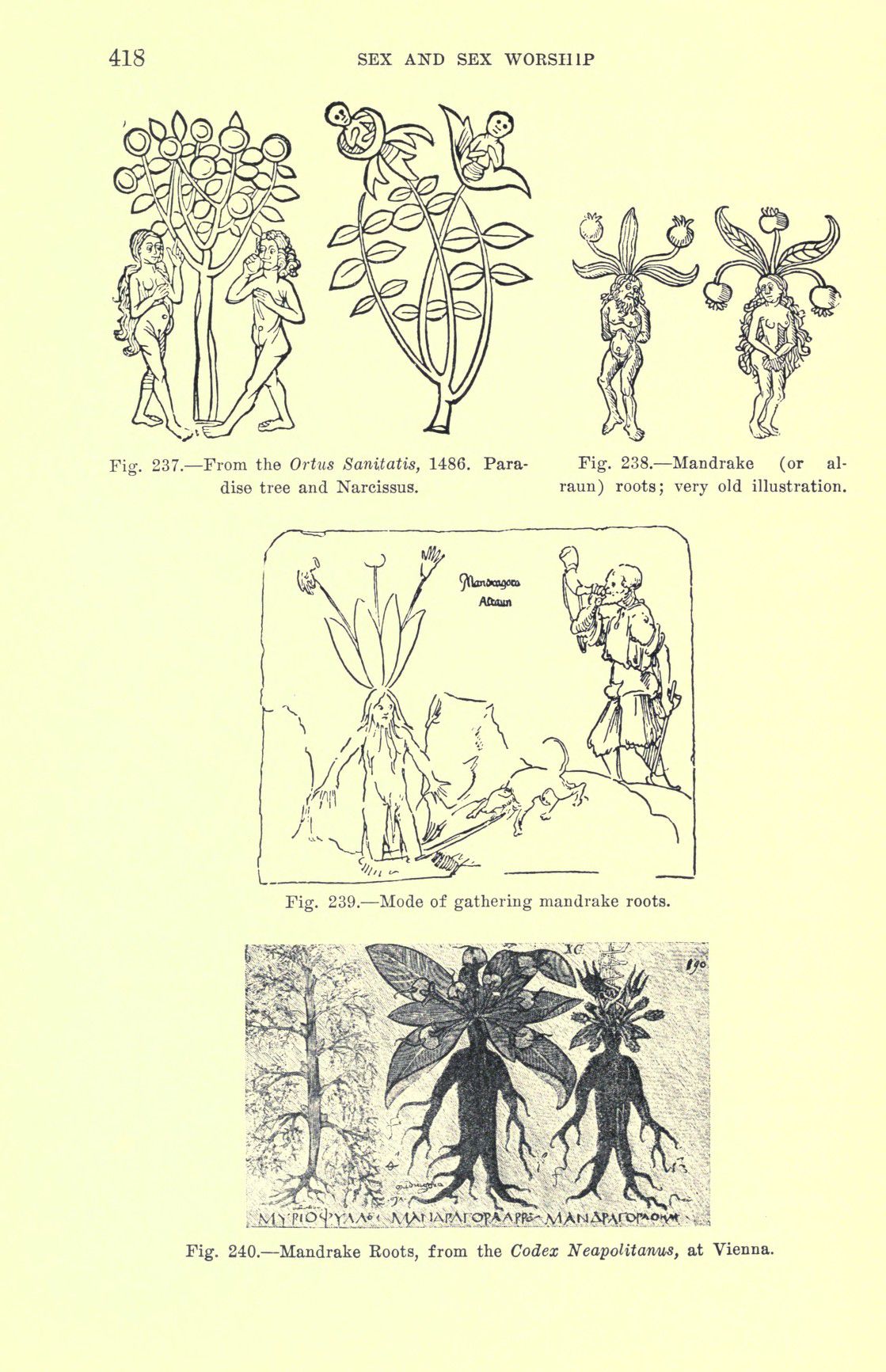 [Otto Augustus Wall] Sex and sex worship : (phallic worship) a scientific treatise on sex, its nature and function, and its influence on art, science, architecture, and religion--with special reference to sex worship and symbolism 438