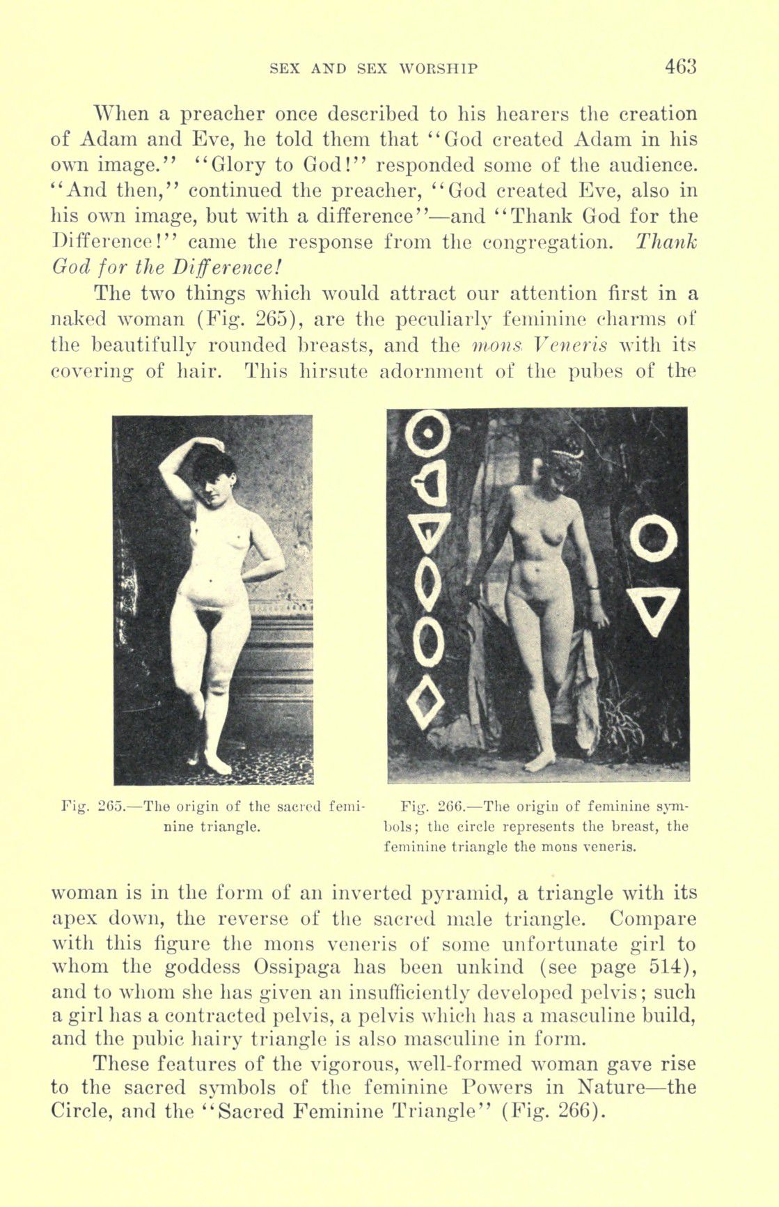 [Otto Augustus Wall] Sex and sex worship : (phallic worship) a scientific treatise on sex, its nature and function, and its influence on art, science, architecture, and religion--with special reference to sex worship and symbolism 483