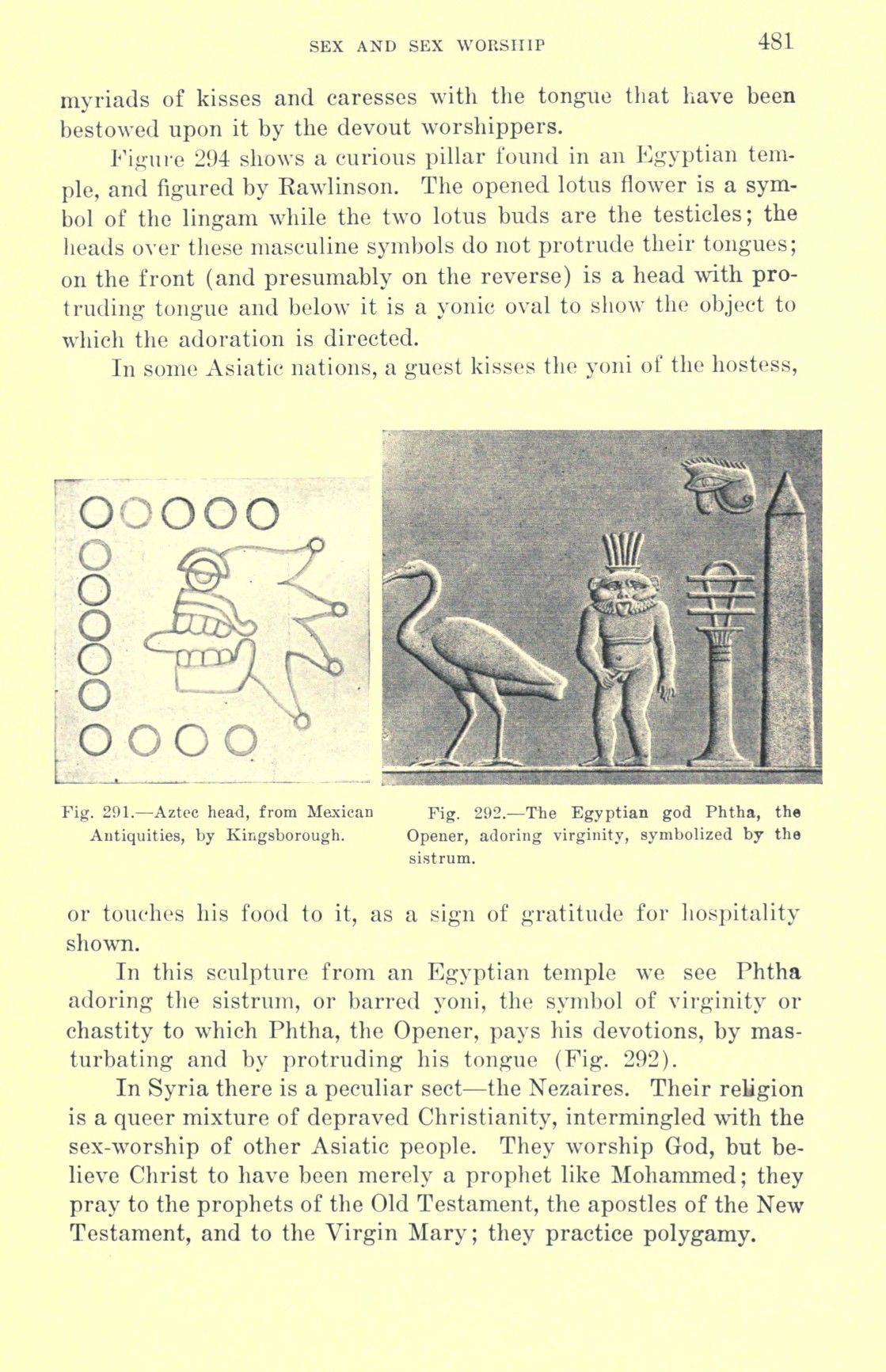 [Otto Augustus Wall] Sex and sex worship : (phallic worship) a scientific treatise on sex, its nature and function, and its influence on art, science, architecture, and religion--with special reference to sex worship and symbolism 501