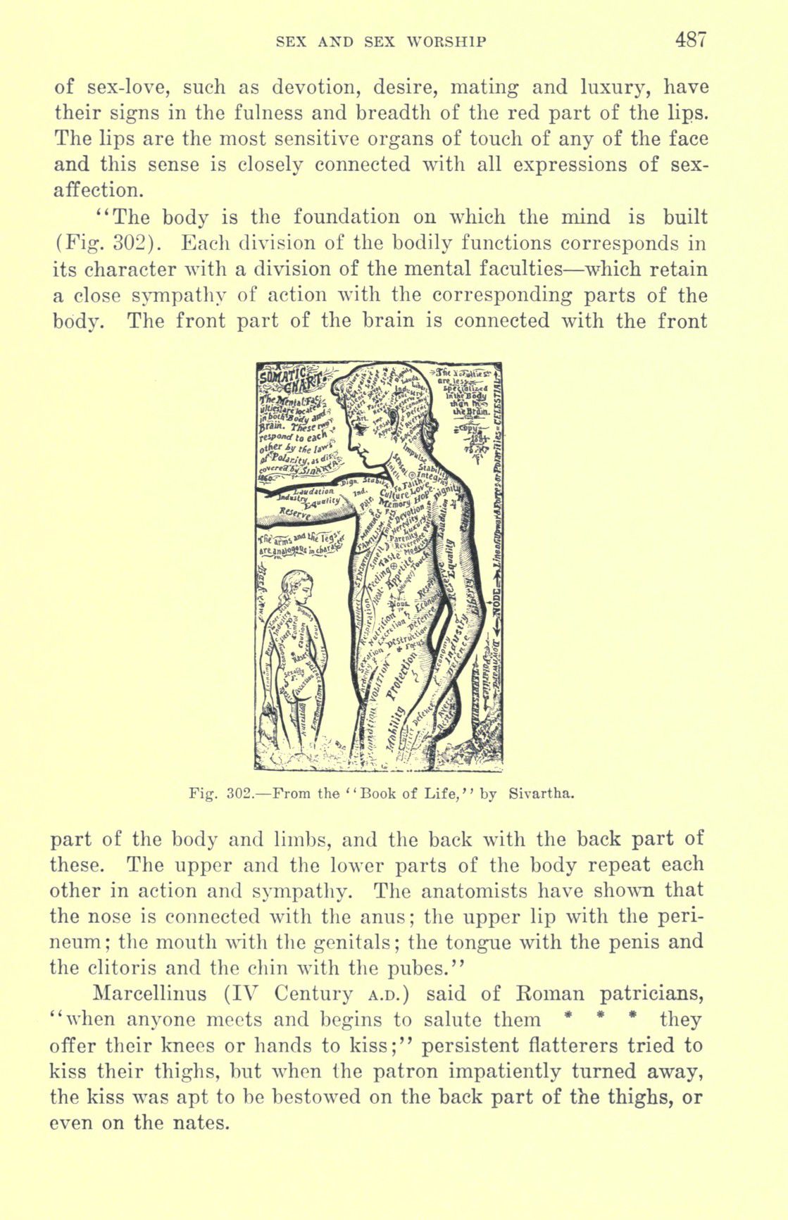 [Otto Augustus Wall] Sex and sex worship : (phallic worship) a scientific treatise on sex, its nature and function, and its influence on art, science, architecture, and religion--with special reference to sex worship and symbolism 507