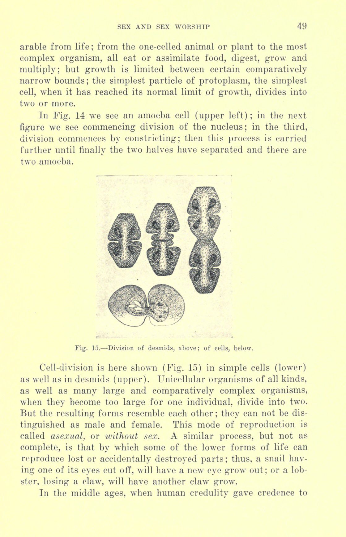 [Otto Augustus Wall] Sex and sex worship : (phallic worship) a scientific treatise on sex, its nature and function, and its influence on art, science, architecture, and religion--with special reference to sex worship and symbolism 69